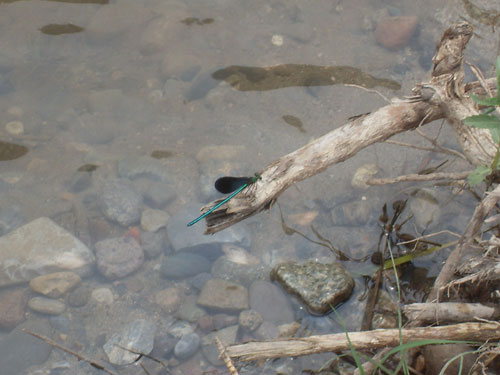 隨銳科技野三坡夏令營(yíng)