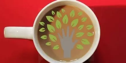 矚目遠程教育系統