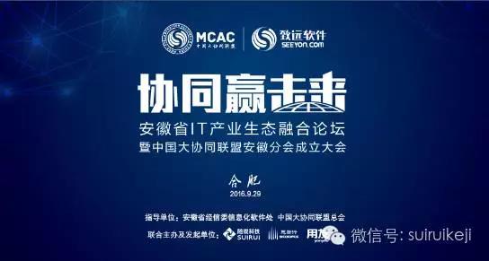 安徽省IT產生生態融合論壇