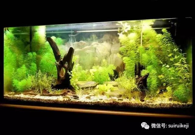 谷歌員工工作分享