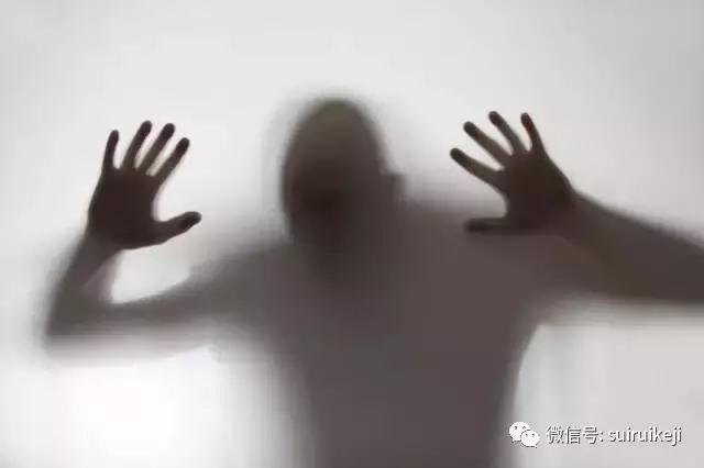 谷歌員工工作分享