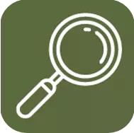 網絡身份與名譽管理