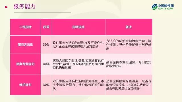 中國企業服務選型研究報告